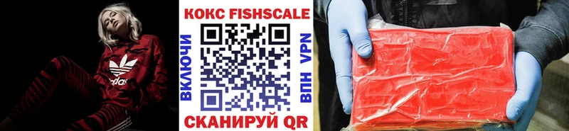 Купить закладки  Электрогорск  Cocaine Fish Scale 