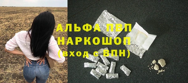 PSILOCYBIN Инсар