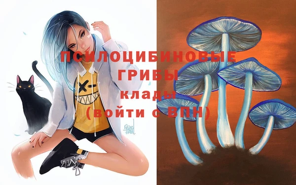 марки nbome Иннополис